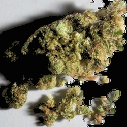Brown Crystals pill — 5F-MDMB-PICA; CBD; THC — Bern, Switzerland