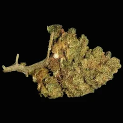 Brown Crystals pill — ADB-BUTINACA; CBD; THC — Lucerne, Switzerland