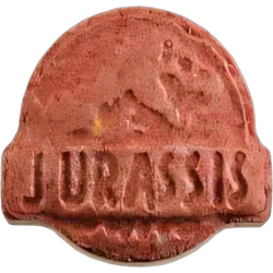 Brown Jurassic Park ecstasy pill (XTC) — MDMA 166mg — Zürich, Switzerland