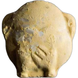 Brown No_speak ecstasy pill (XTC) — MDMA 238mg — Zürich, Switzerland