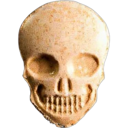 Brown Skull ecstasy pill (XTC) — MDMA 196mg — Biel, Switzerland