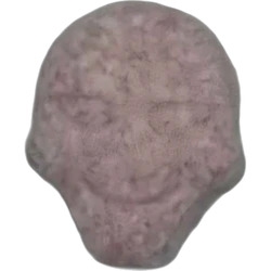 Pink Saw ecstasy pill (XTC) — MDMA 232mg — Madrid, Spain