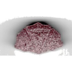 Purple No Usar ecstasy pill (XTC) — MDMA 206mg — Barcelona, Spain