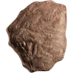 Brown Lion ecstasy pill (XTC) — MDMA 176mg — Zürich, Switzerland