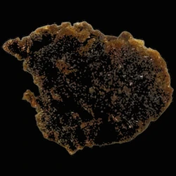 Brown Crystals pill — CBD; MDMB-4en-PINACA; THC — Zürich, Switzerland