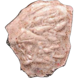 Pillola Lion