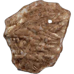 Lion pill — 2