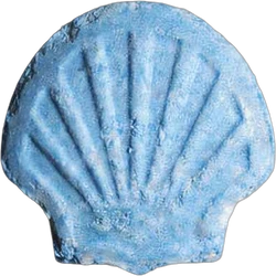 Tabletka Shell