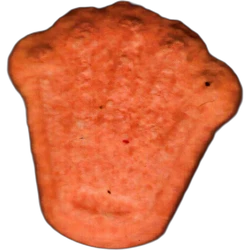 Pillola Rolex