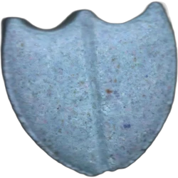 Blue Dom Perignon ecstasy pill (XTC) — MDMA 157mg — Barcelona, Spain