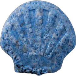 Shell-pilleri — 2
