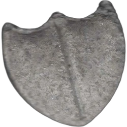 Tabletka Shield — 2