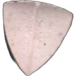 Tableta Tesla — 2