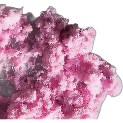 Crystals pill — 2