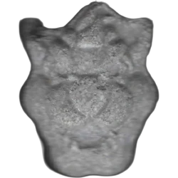 גלולת Tiger — 2