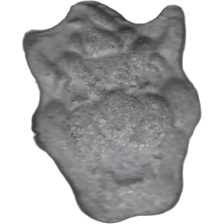 גלולת Tiger