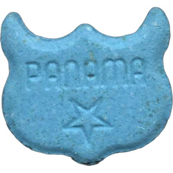 Pillola Panama, Owl — 2
