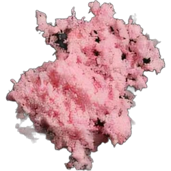 Таблетка Crystals