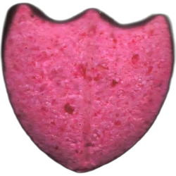 Tabletka Dom Perignon — 2