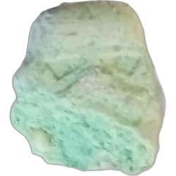 Piolla Tropper