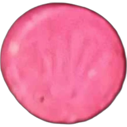 Pink Rolex pill — 2C-B — Sevilla, Spain