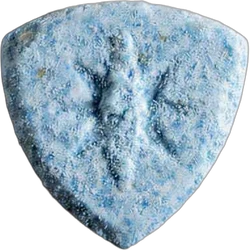 Warner Bros-pilleri
