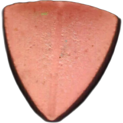 Tesla-pille — 2