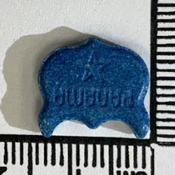 Panama, Owl-pilla — 2