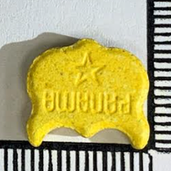 Piolla Panama, Owl — 2