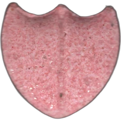Comprimé Dom Perignon — 2