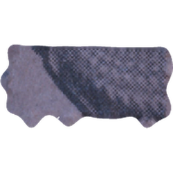 Pillola Fragment