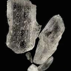 גלולת Crystals