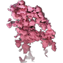 Pink Heart pill — Ketamine 17%; 2C-B 2% — Geneva, Switzerland