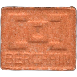 Orange Berghain ecstasy pill (XTC) — MDMA 173mg — Barcelona, Spain