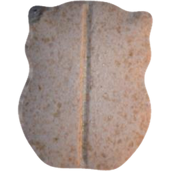 Tableta Owl — 2