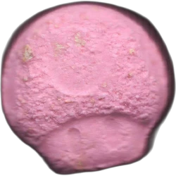 Pink Mushroom pill — 2C-B 10mg — Barcelona, Spain