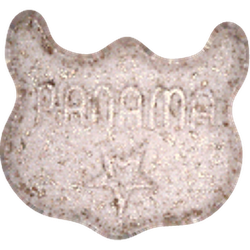 Owl (Panama)-pil — 2