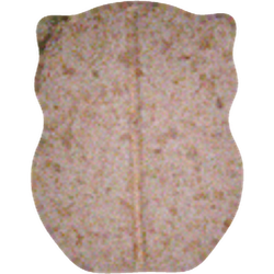 Tabletka Owl — 2