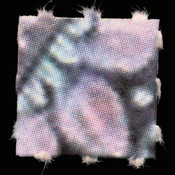 LSD Blotter-pilleri