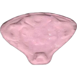 Pink Simba pill — 2C-B 18mg — Barcelona, Spain