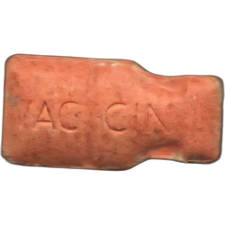 Orange Vaccine Pfizer ecstasy pill (XTC) — MDMA 147mg — Barcelona, Spain