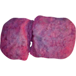Piolla Red Bull — 2