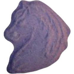 Purple Pegasus ecstasy pill (XTC) — MDMA 126mg — Vienna, Austria