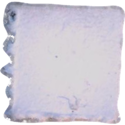 LSD (35µg); Unknown-pilla