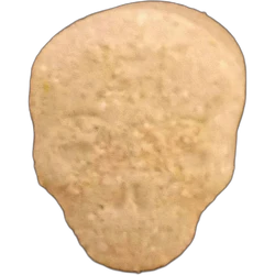 Orange Skull ecstasy pill (XTC) — MDMA 154mg — Granada, Spain