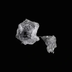 Piolla Crystals