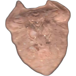 White Satan Sinner ecstasy pill (XTC) — MDMA 147mg — Barcelona, Spain