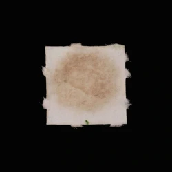 LSD Blotter таблета