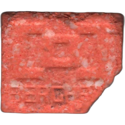Orange Berghain ecstasy pill (XTC) — MDMA 218mg — Barcelona, Spain