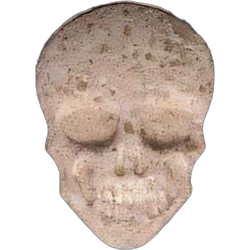 Таблетка Skull